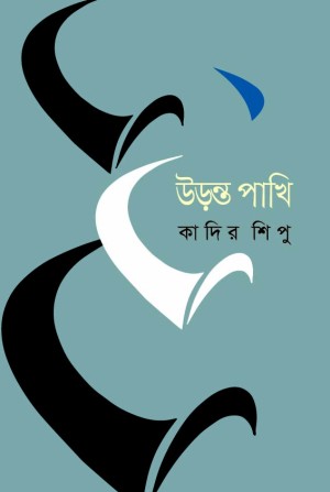 উড়ন্ত পাখি 